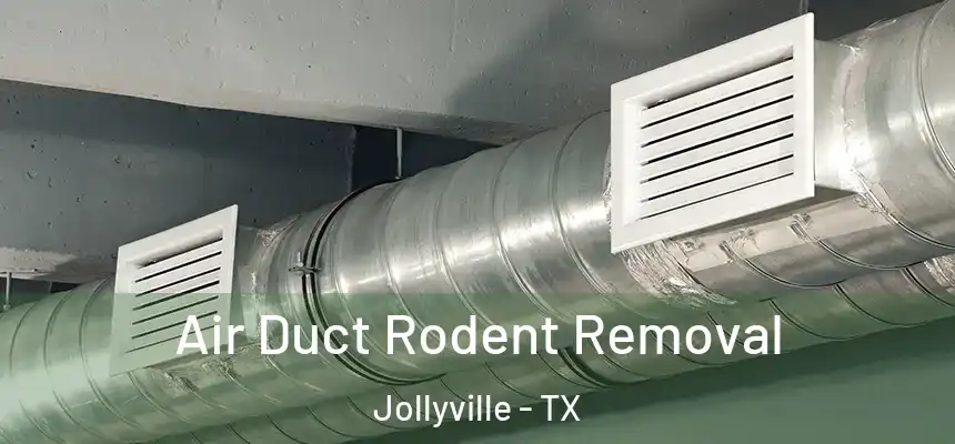  Air Duct Rodent Removal Jollyville - TX
