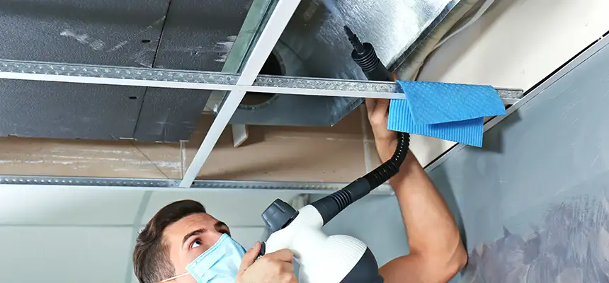 Our Air Duct Rodent Removal Services in Jollyville, TX