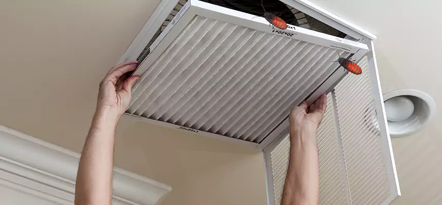 Our Insect Removal from Air Ducts Services in Jollyville, TX