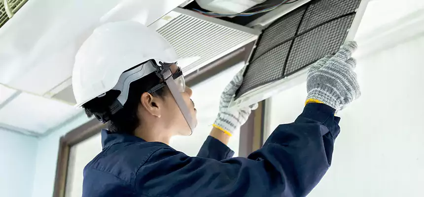 Our Mold & Mildew Removal from Air Ducts Services in Jollyville, TX