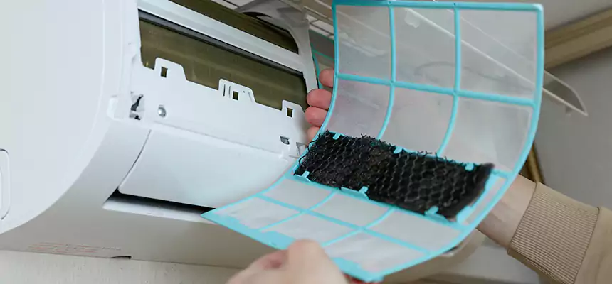 Gentle Ductwork Odor-Control Pet Dander Duct Cleaning in Jollyville, TX