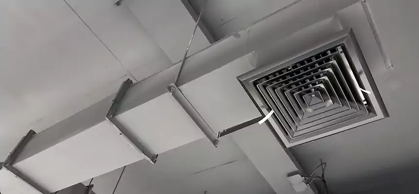 Our Rodent Droppings In Vents Services in Jollyville, TX