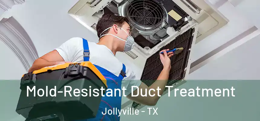 Mold-Resistant Duct Treatment Jollyville - TX