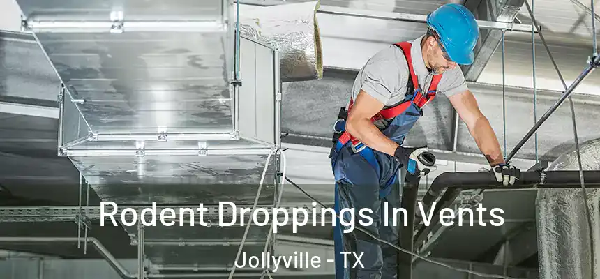 Rodent Droppings In Vents Jollyville - TX