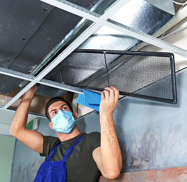 Why Homeowners & Businesses Trust Us in Jollyville, TX?